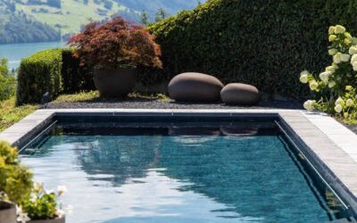 Brighton Pools Virginia