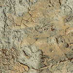 Komodo-Moon - US Pool Tile